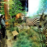 Animatronic Zebra