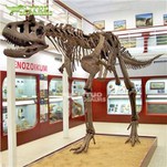 Carnotaurus beinagrind