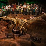 Velociraptor Beinagrind